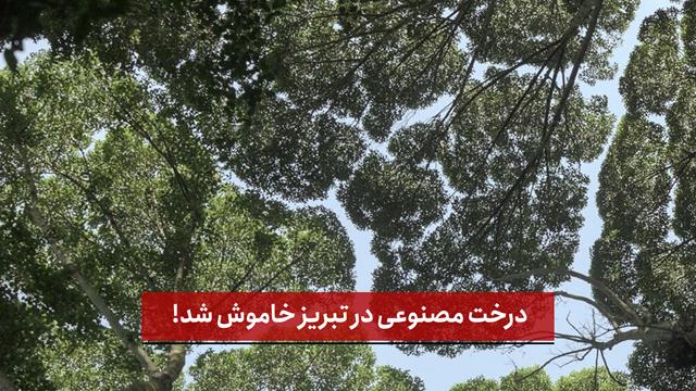 فیلم | درخت مصنوعی در تبریز خاموش شد!